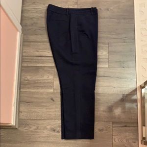 Ann Taylor Curvy Navy Ankle Pant